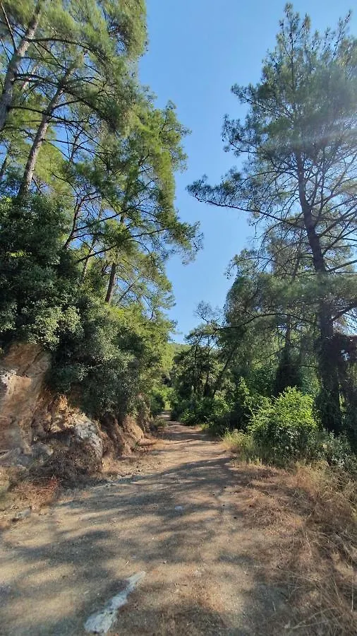 Villa Pinar Evleri Muğla Türkei